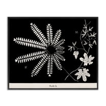 Stupell Industries Ferns & Leaves on Black Floral Painting Black Framed Art Print Wall Art, 14 x 11