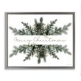 thumbnail image 1 of Stupell Industries Festive Fir Phrase Holiday Painting Gray Floater Framed Art Print Wall Art, 21 x 17, 1 of 10