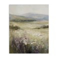 thumbnail image 1 of Stupell Industries Traditional Fields Of Serenity Canvas Art, 16 x 20, by Svetlana Aleynikova, 1 of 8