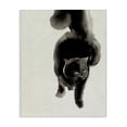 thumbnail image 1 of Stupell Industries Contemporary Fierce Black Cat Canvas Art, 36 x 48, by Melissa Wang, 1 of 8