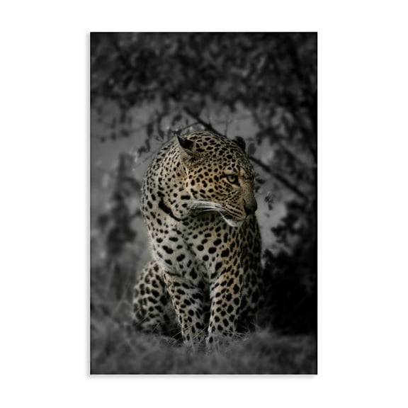 Stupell Industries Fierce Cheetah in Nature Animals Photography Wrapped Canvas Canvas Art Print Wall Art, 16 x 24