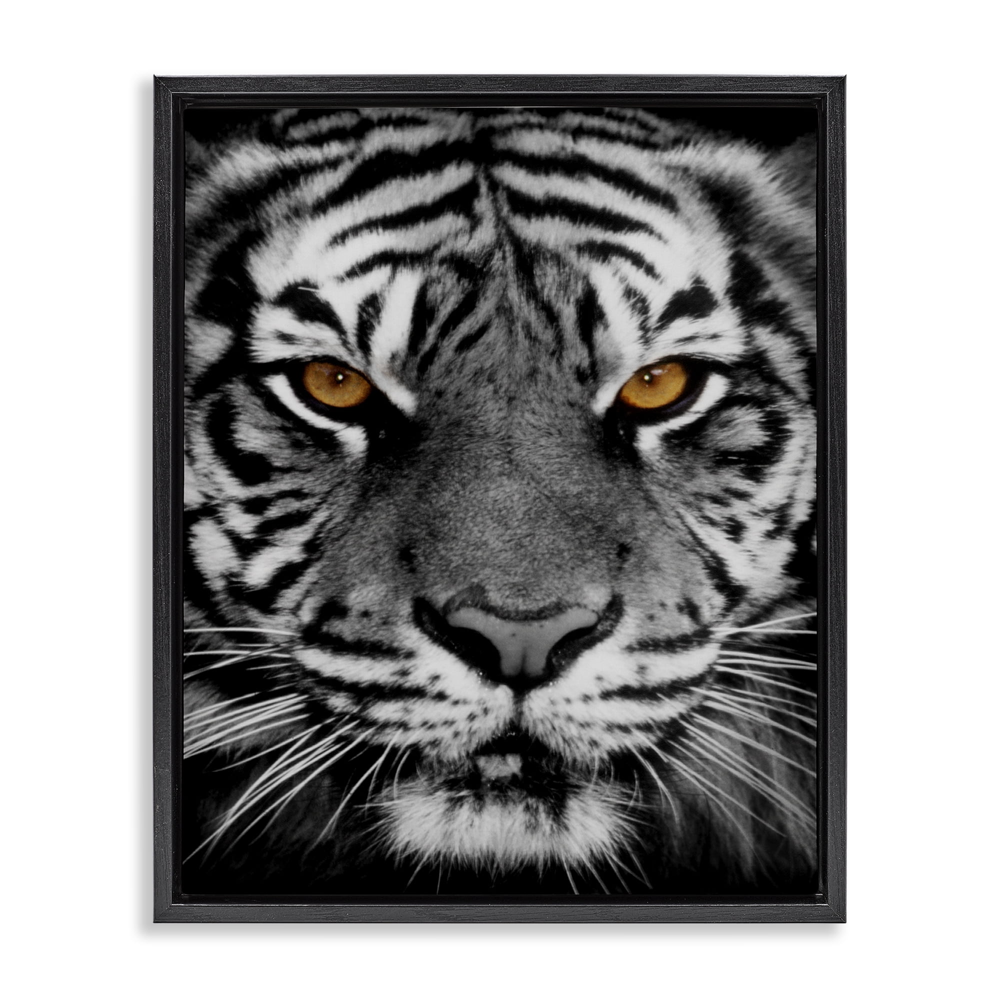 Stupell Industries Fierce Eyed Tiger Animals Painting Black Floater Framed Canvas Art Print Wall Art, 25 x 31