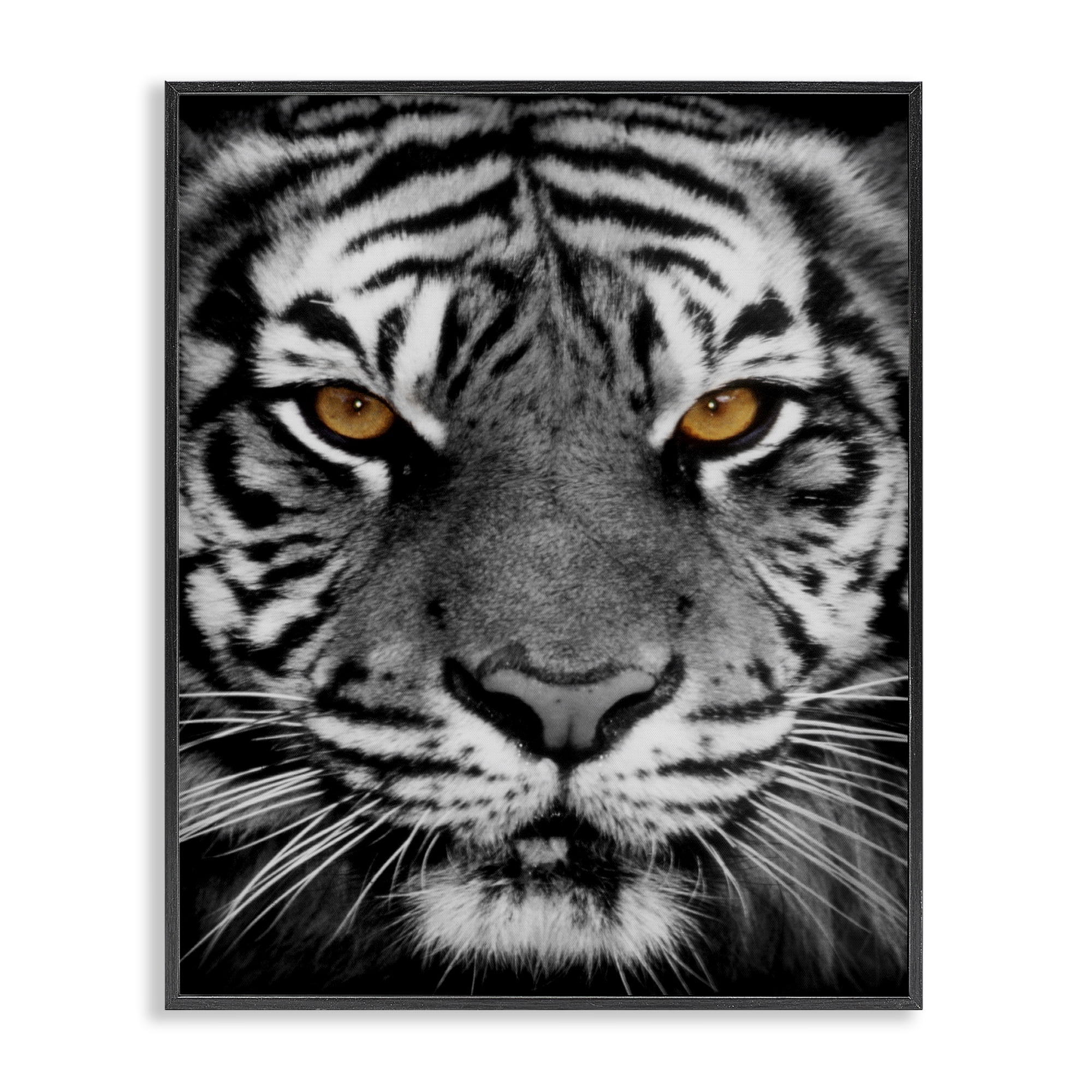 Stupell Industries Fierce Eyed Tiger Animals Painting Black Framed Art Print Wall Art, 24 x 30