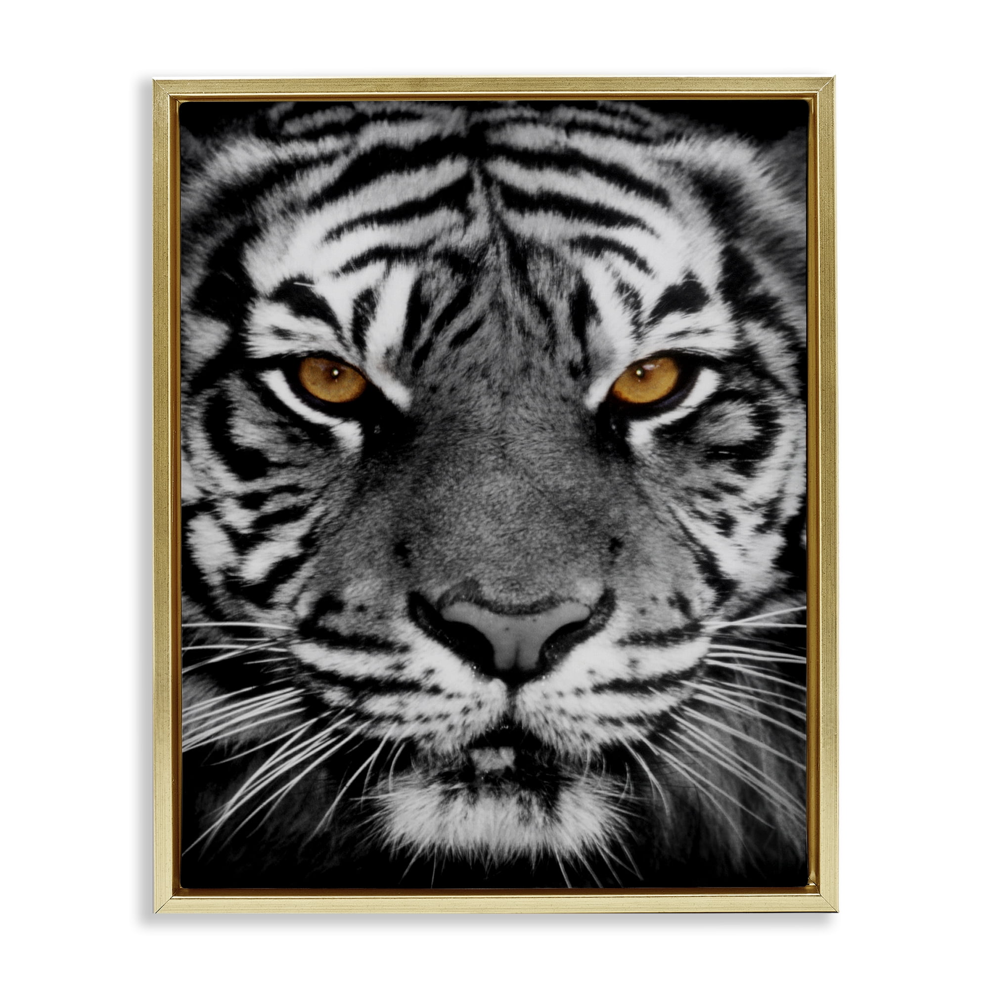 Stupell Industries Fierce Eyed Tiger Animals Painting Gold Floater Framed Canvas Art Print Wall Art, 17 x 21