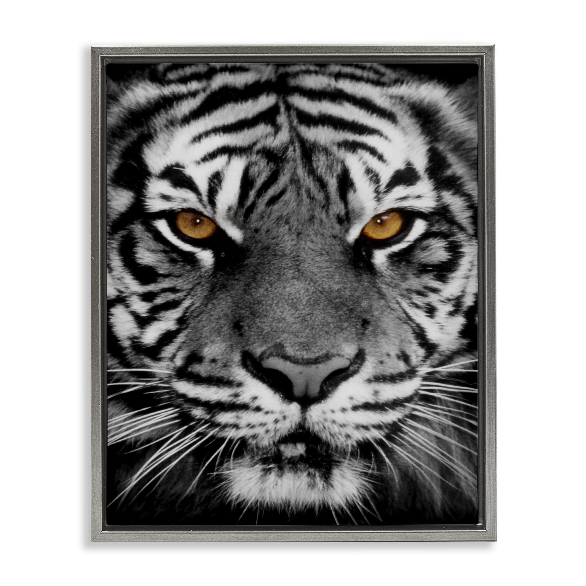 Stupell Industries Fierce Eyed Tiger Animals Painting Gray Floater Framed Canvas Art Print Wall Art, 17 x 21