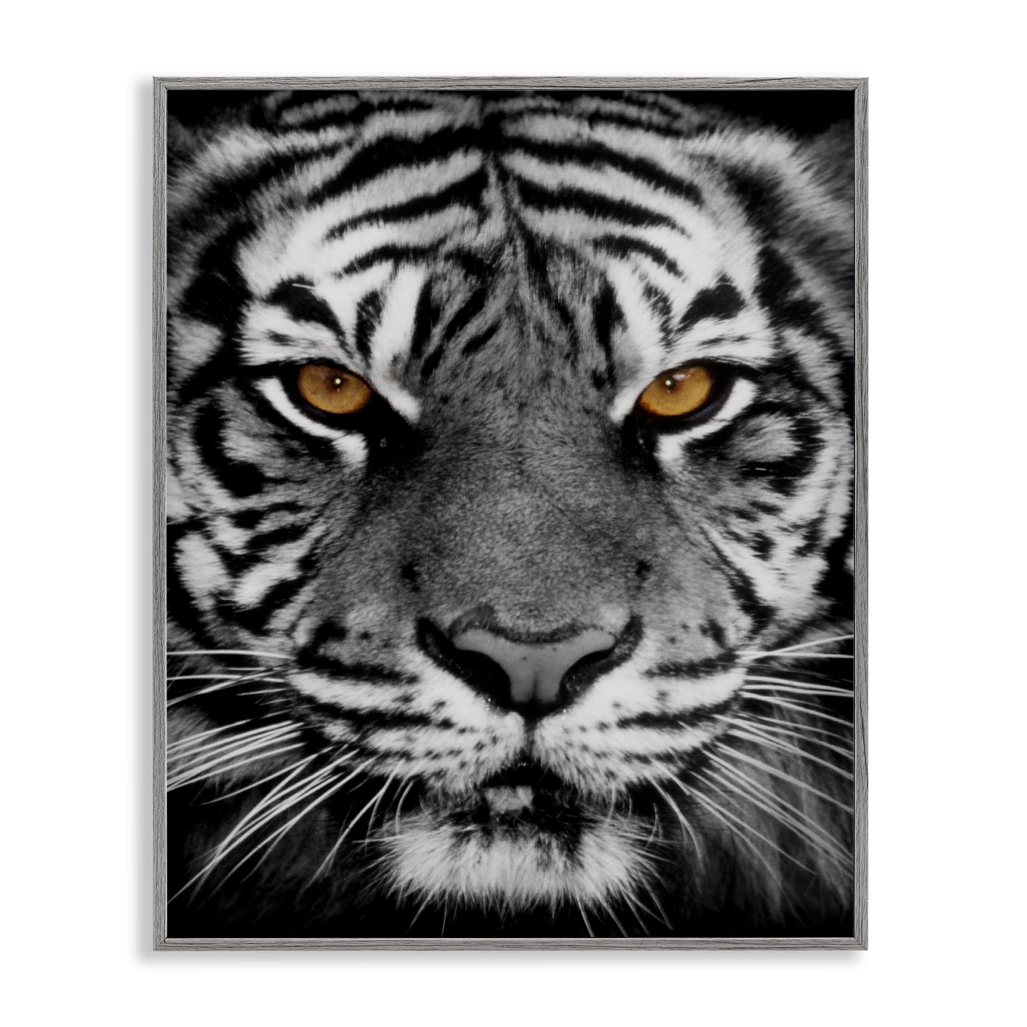 Stupell Industries Fierce Eyed Tiger Animals Painting Gray Framed Art Print Wall Art, 11 x 14