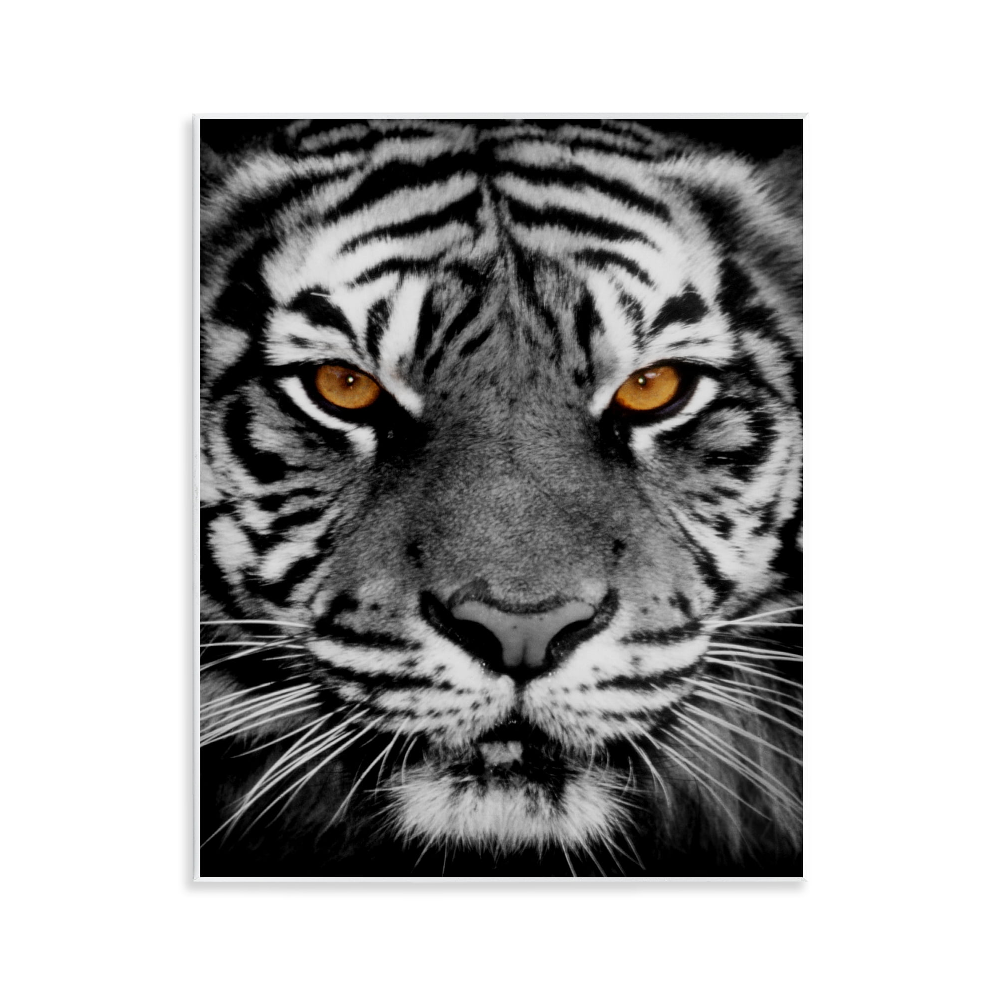 Stupell Industries Fierce Eyed Tiger Animals Painting Unframed Art Print Wall Art, 11 x 14