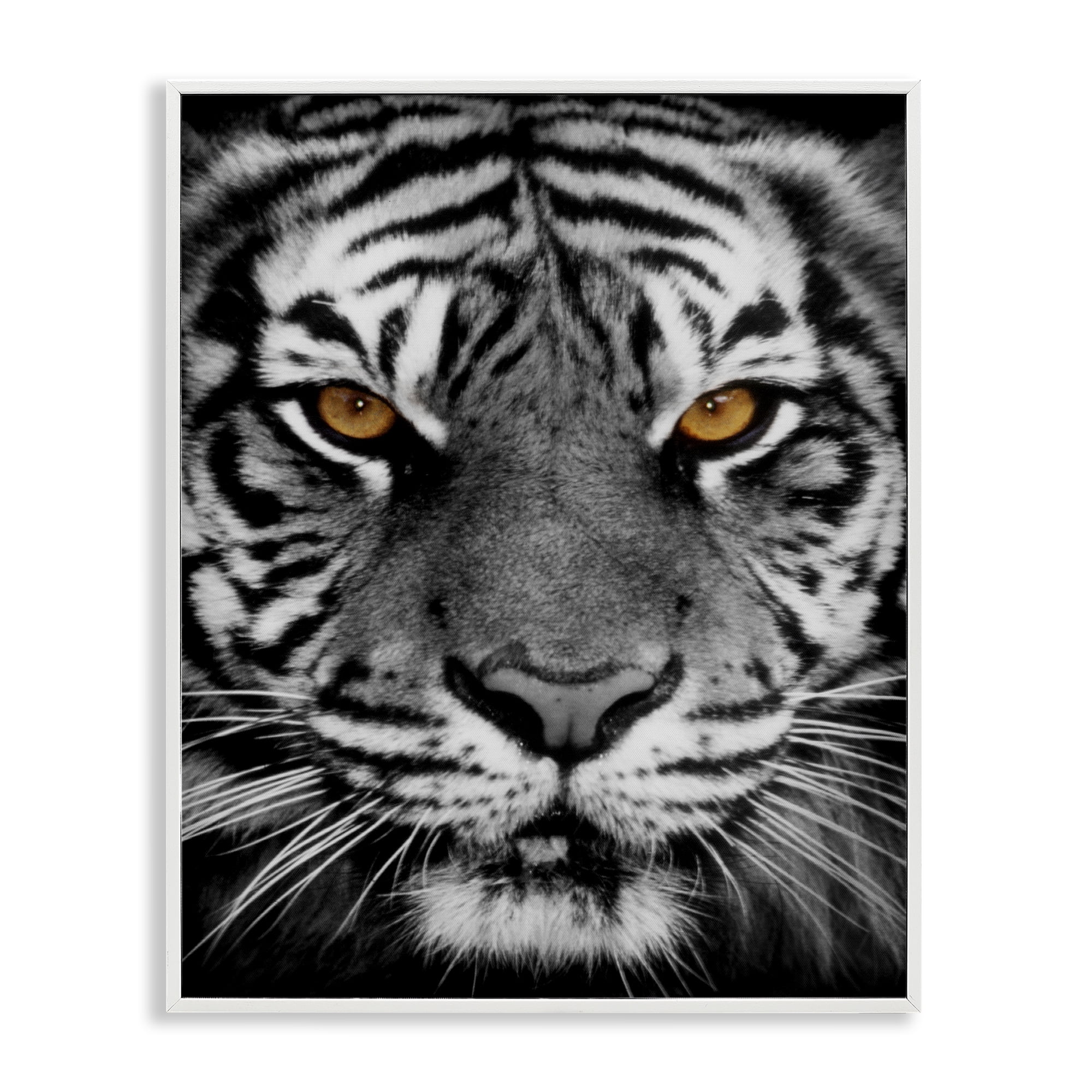 Stupell Industries Fierce Eyed Tiger Animals Painting White Framed Art Print Wall Art, 11 x 14