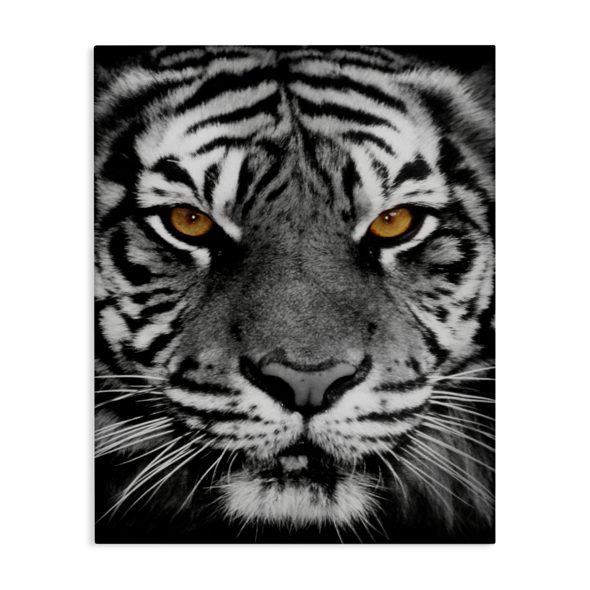 Stupell Industries Fierce Eyed Tiger Animals Painting Wrapped Canvas Art Print Wall Art, 16 x 20