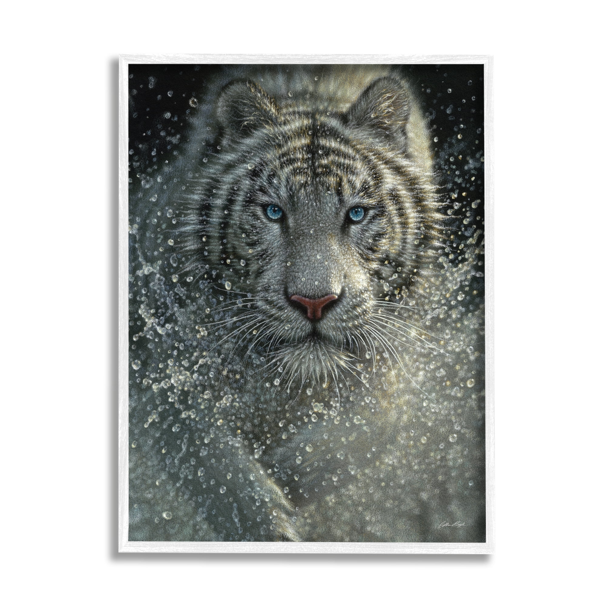 Stupell Industries Fierce White Bengal Tiger Running Water Splashing Portrait , 16 x 20, Design by Collin Bogle