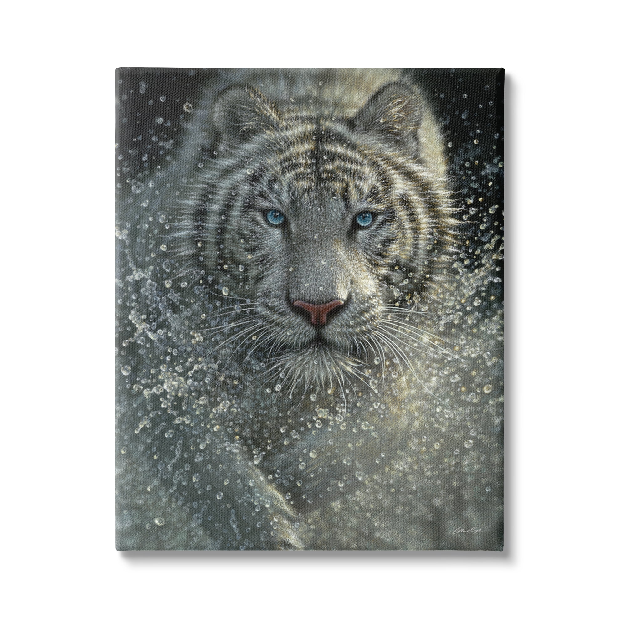 Stupell Industries Fierce White Bengal Tiger Running Water Splashing Portrait Paintings Gallery-Wrapped Canvas Print Wall Art, 30x40, by Collin Bogle