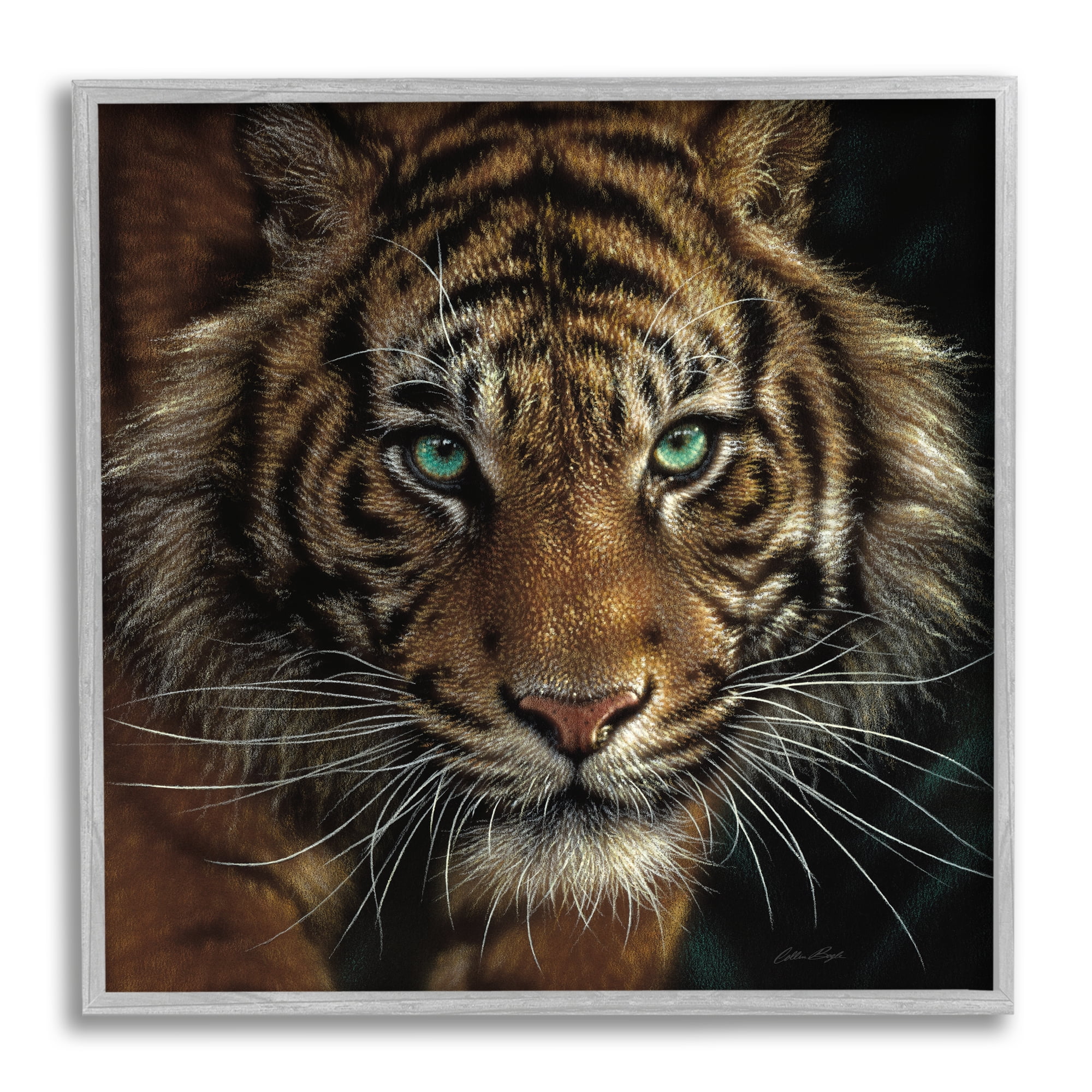 Stupell Industries Fierce Wild Tiger Crouching Green Eyes Detailed Portrait , 17 x 17, Design by Collin Bogle