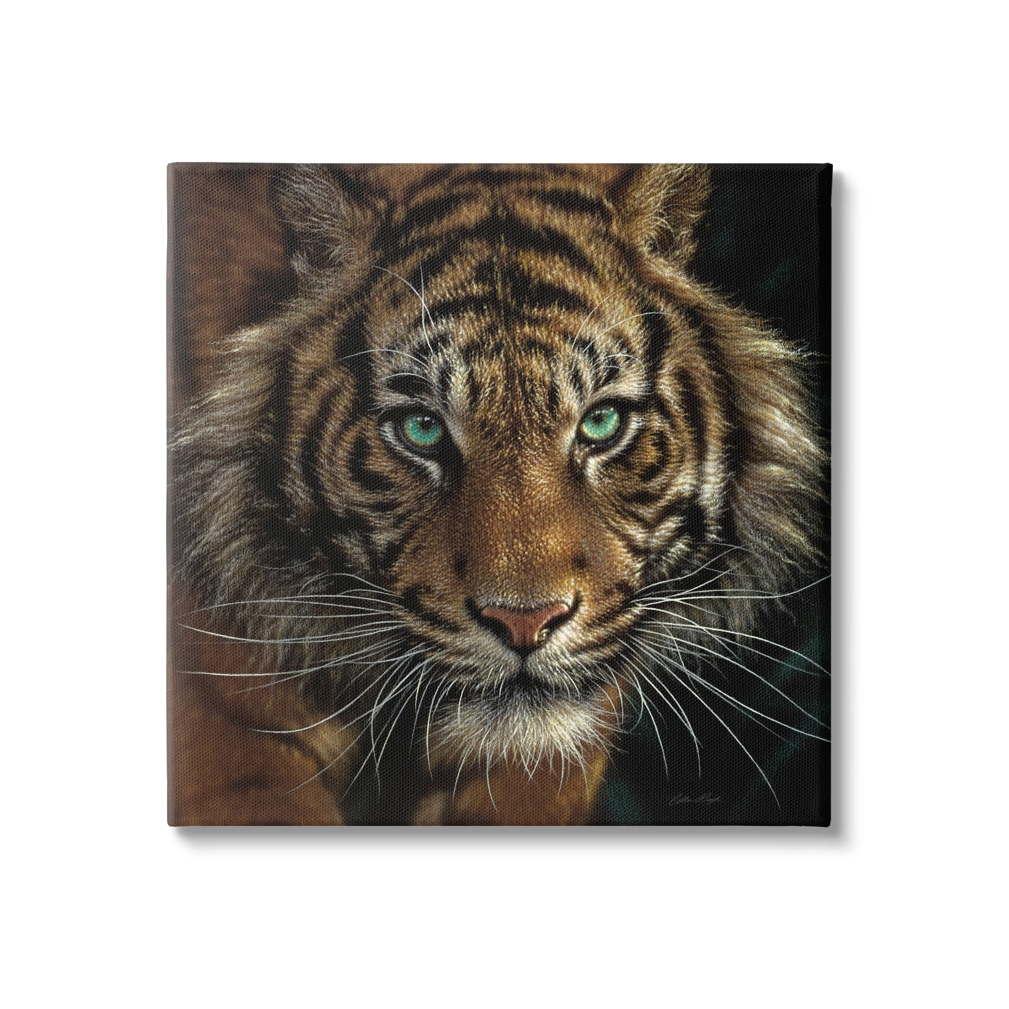 Stupell Industries Fierce Wild Tiger Crouching Green Eyes Detailed Portrait , 24 x 24, Design by Collin Bogle