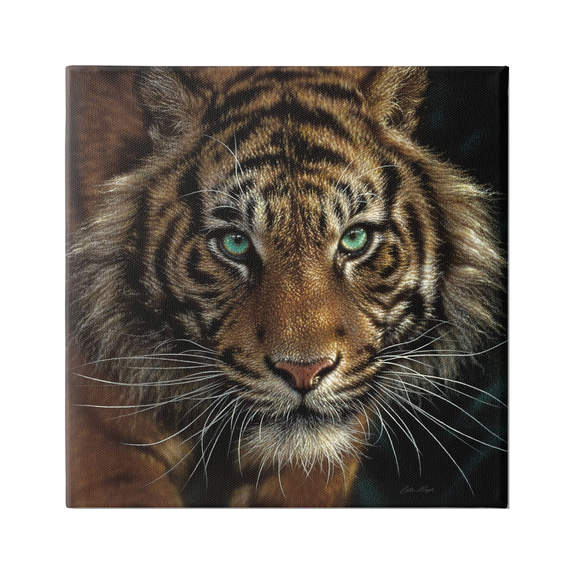 Stupell Industries Fierce Wild Tiger Crouching Green Eyes Detailed Portrait , 36 x 36, Design by Collin Bogle