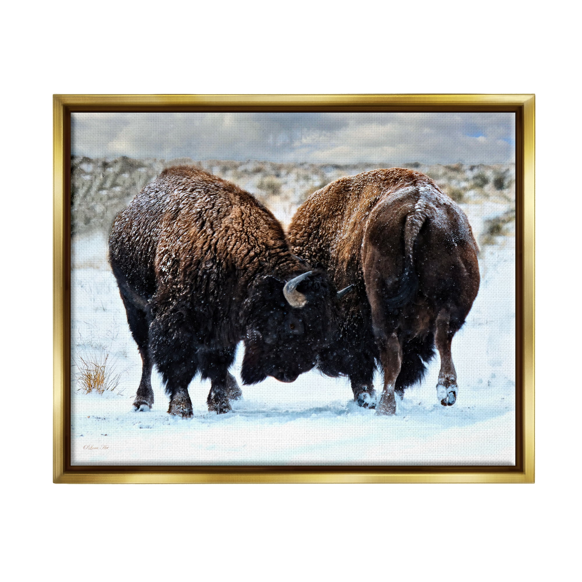 Stupell Industries Fighting Bison Snow Scene Animals & Insects Photography Gold Floater Framed Art Print Wall Art, 31 x 25
