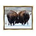 thumbnail image 1 of Stupell Industries Fighting Bison Snow Scene Animals & Insects Photography Gold Floater Framed Art Print Wall Art, 31 x 25, 1 of 9