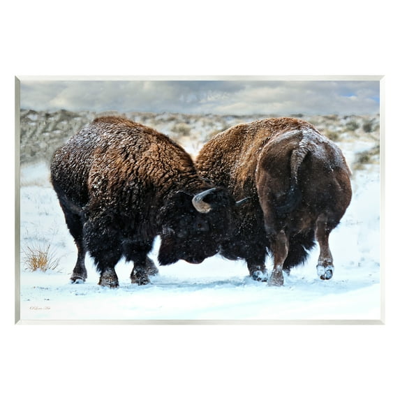 Stupell Industries Fighting Bison Snow Scene Animals & Insects Photography Unframed Art Print Wall Art, 19 x 13