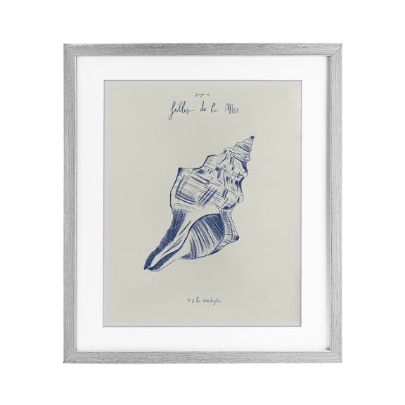 Stupell Industries Filles De La Mer Conch Shell Gray Framed Print Under Glass design by 1x, 16 x 13