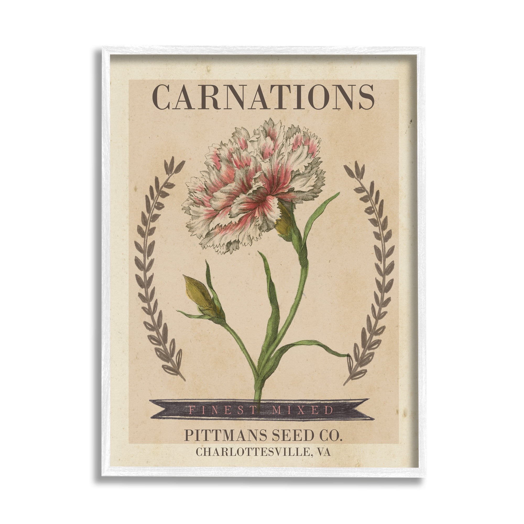 Stupell Industries Finest Mixed Carnations Antique Floral Seed Packet, 16 x 20, Design by Studio W