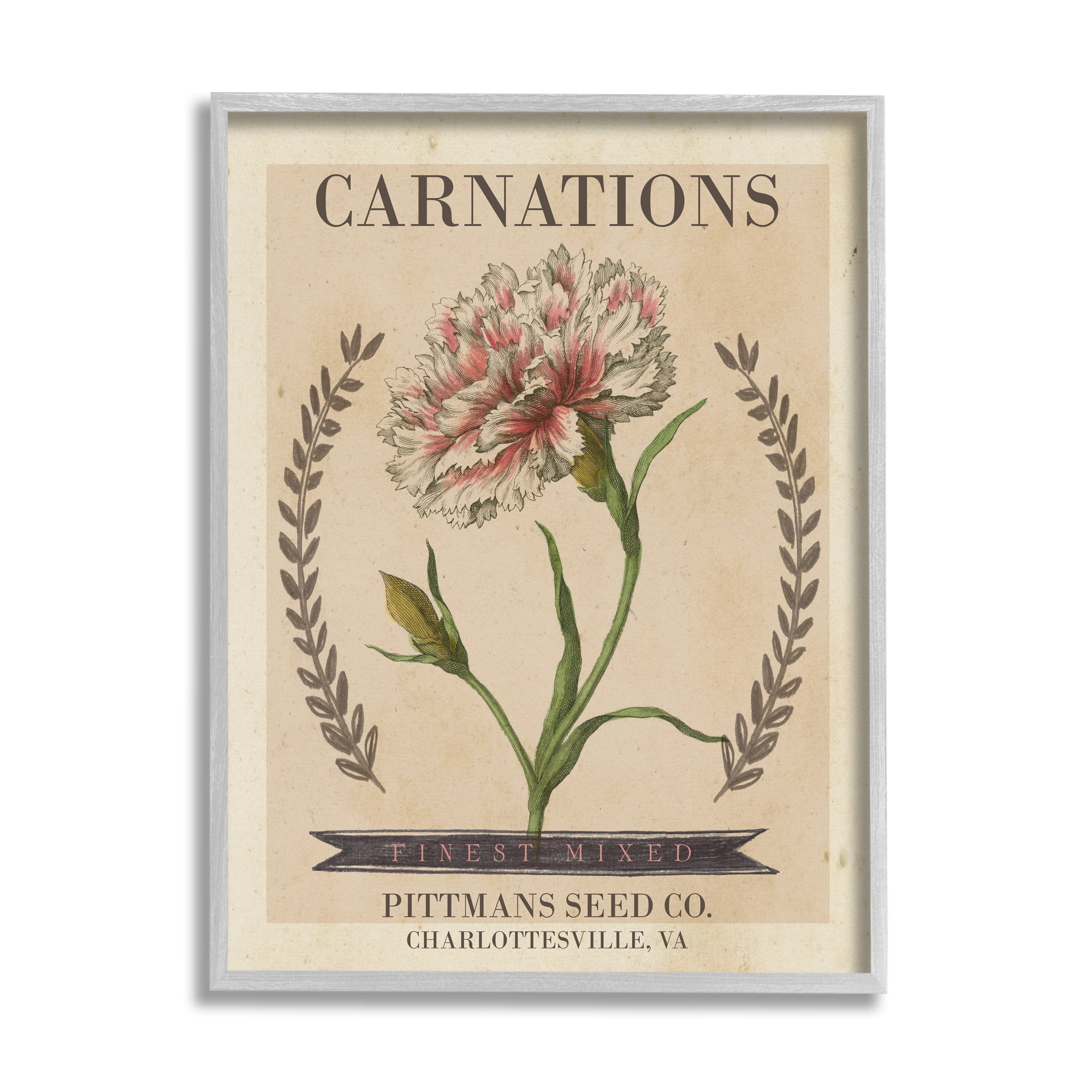 Stupell Industries Finest Mixed Carnations Antique Floral Seed Packet, 24 x 30, Design by Studio W