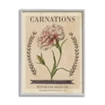 thumbnail image 1 of Stupell Industries Finest Mixed Carnations Antique Floral Seed Packet, 24 x 30, Design by Studio W, 1 of 7