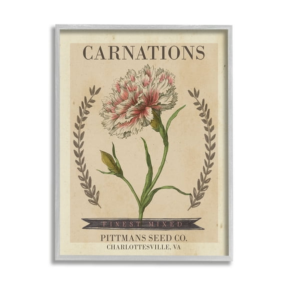 Stupell Industries Finest Mixed Carnations Antique Floral Seed Packet, 24 x 30, Design by Studio W