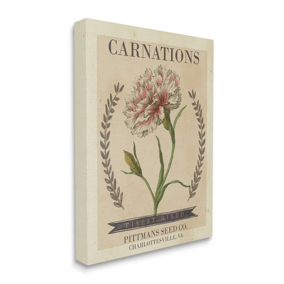 Stupell Industries Finest Mixed Carnations Antique Floral Seed Packet, 36 x 48, Design by Studio W