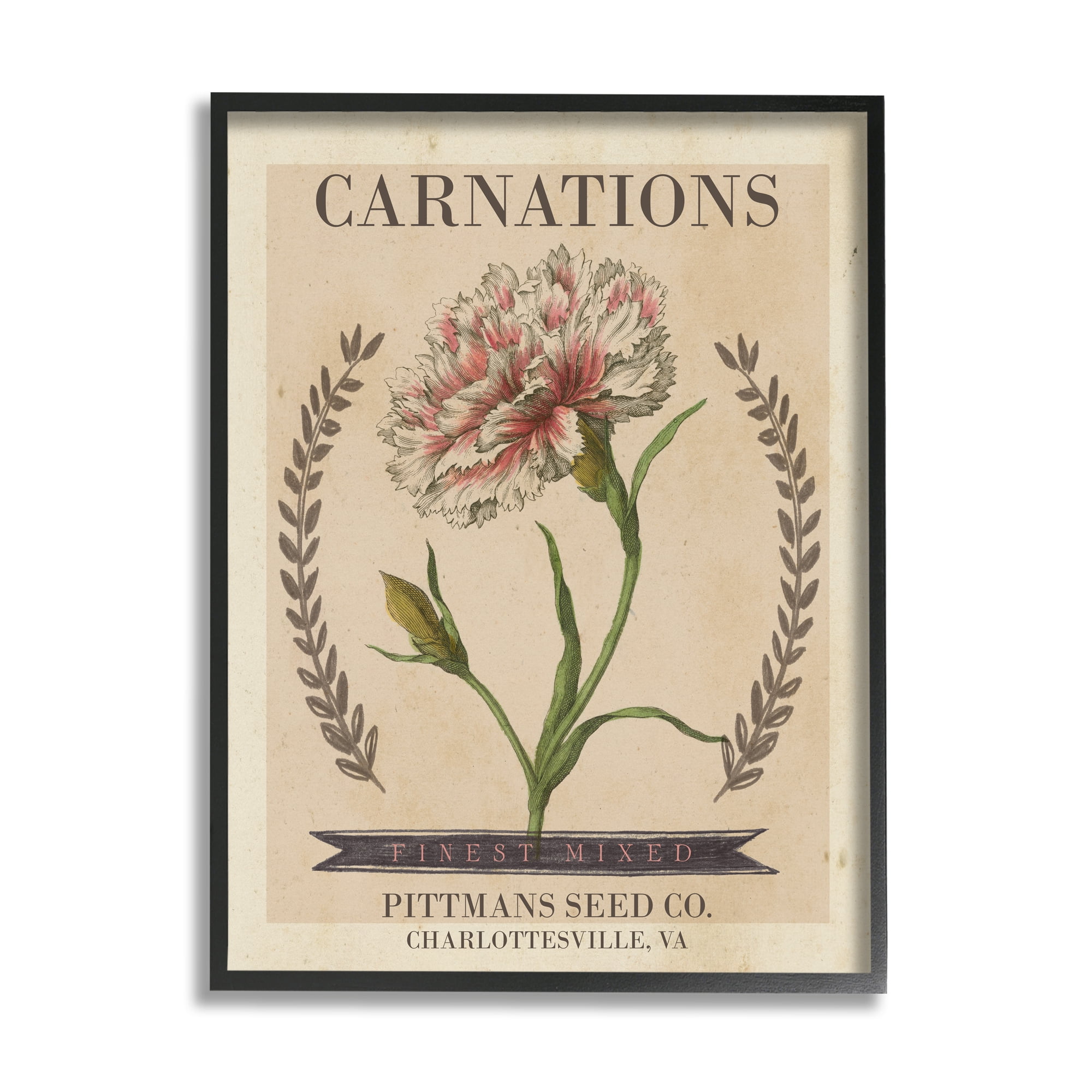 Stupell Industries Finest Mixed Carnations Antique Floral Seed Packet Botanical & Floral Painting Black Framed Art Print Wall Art, 16 x 20