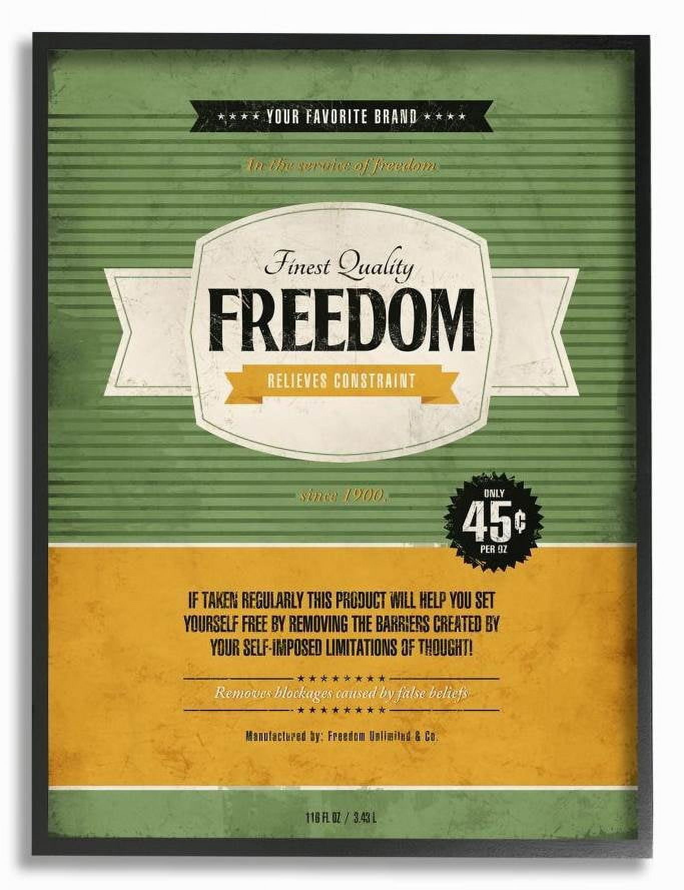 Stupell Industries Finest Quality Freedom Inspirational Vintage Comic Book Design Framed Wall Art by Ester Kay