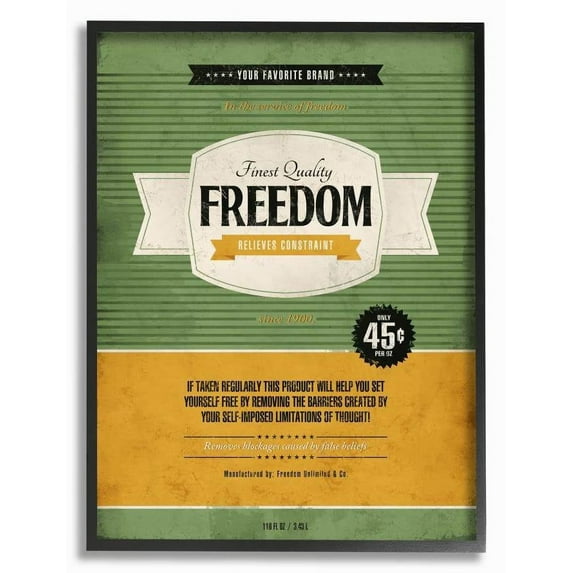 Stupell Industries Finest Quality Freedom Inspirational Vintage Comic Book Design Framed Wall Art by Ester Kay