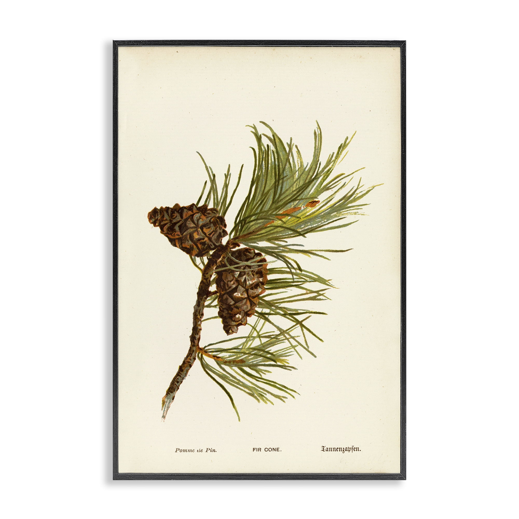 Stupell Industries Fir Tree Cones Plants & Flowers Painting Black Framed Art Print Wall Art, 16 x 24