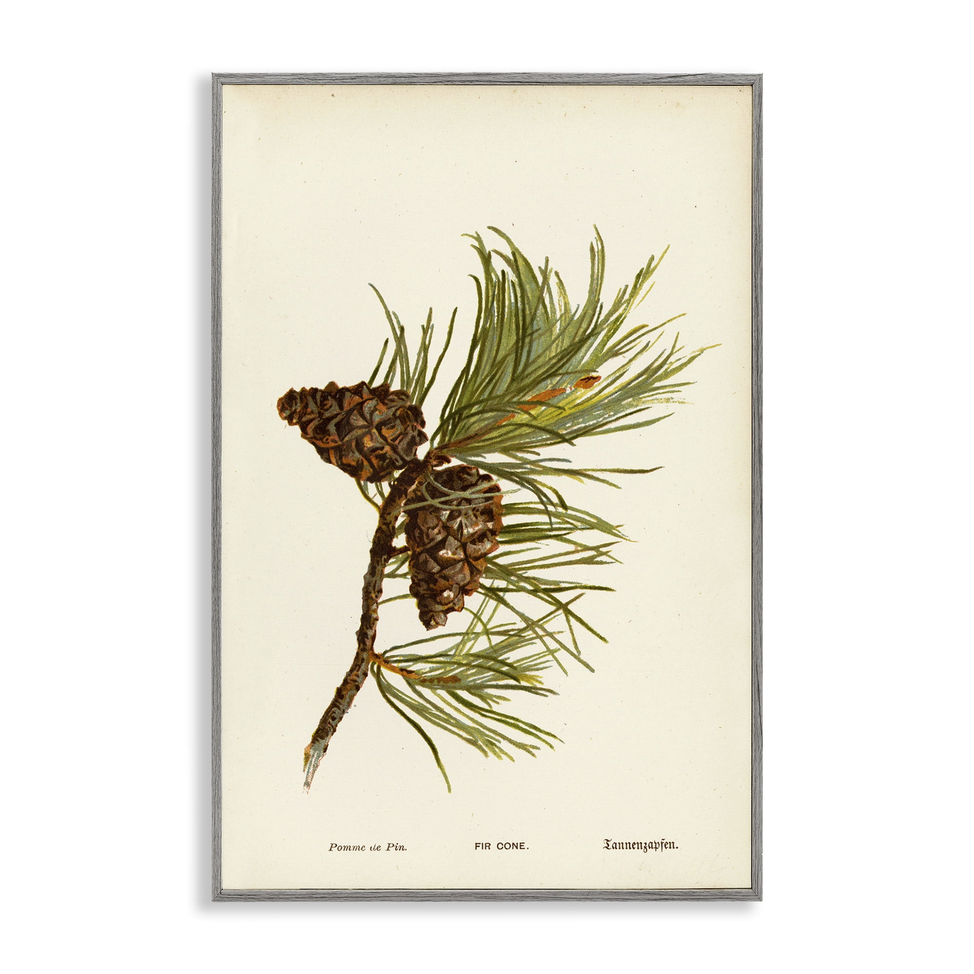 Stupell Industries Fir Tree Cones Plants & Flowers Painting Gray Framed Art Print Wall Art, 20 x 30