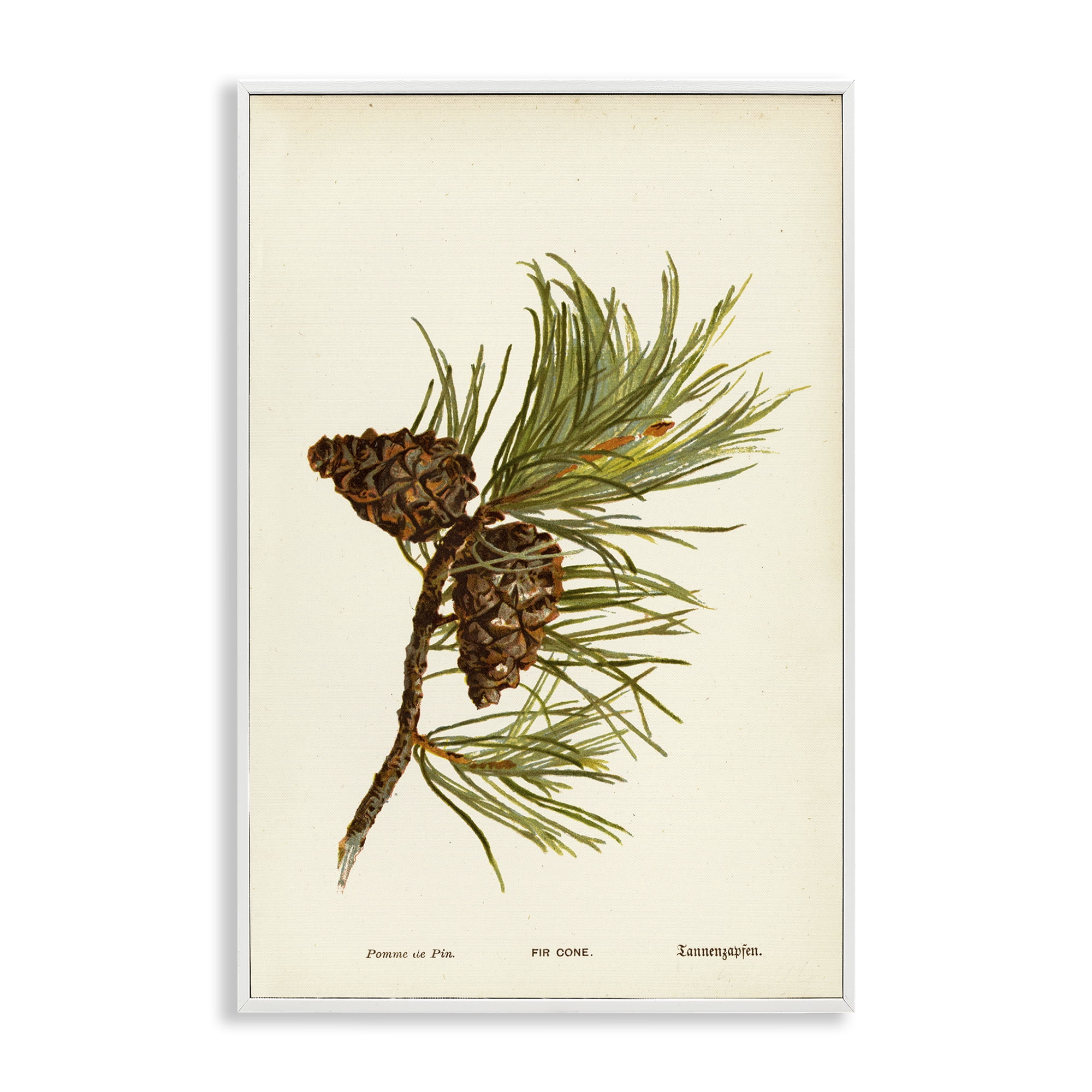 Stupell Industries Fir Tree Cones Plants & Flowers Painting White Framed Art Print Wall Art, 16 x 24