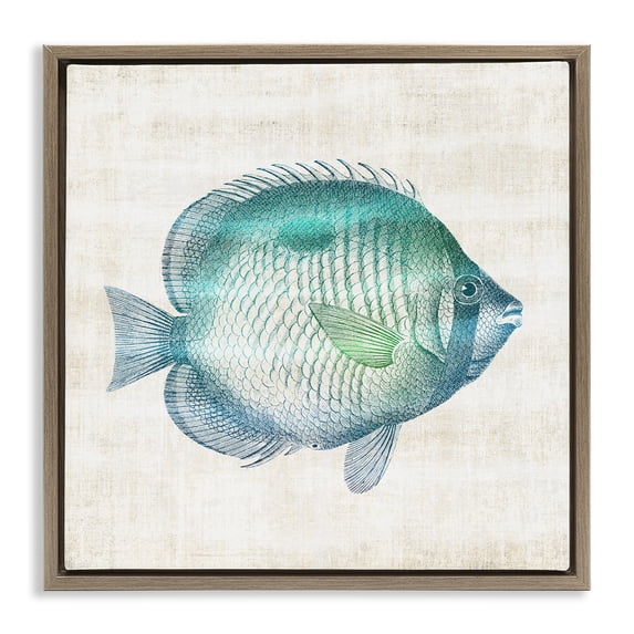 Stupell Industries Traditional Fish Impression Sea Life Brown Floating Frame Canvas Art, 25 x 25, by Susan Arnot