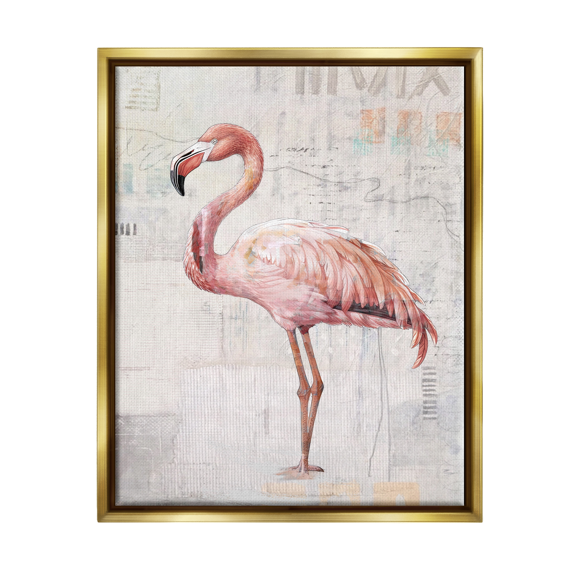 Stupell Industries Flamingo Collage Portrait Animals & Insects Painting Gold Floater Framed Canvas Art Print Wall Art, 17 x 21