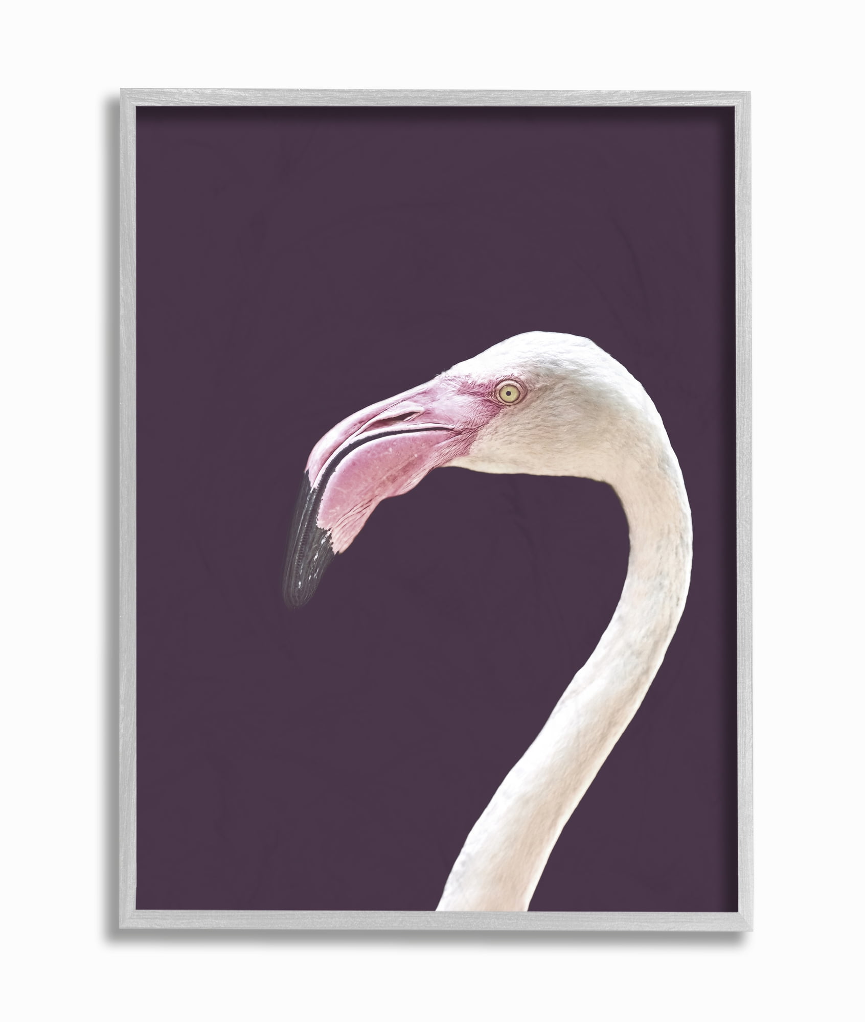Stupell Industries Flamingo Pink Purple Portrait Design Framed Wall Art by Design Fabrikken