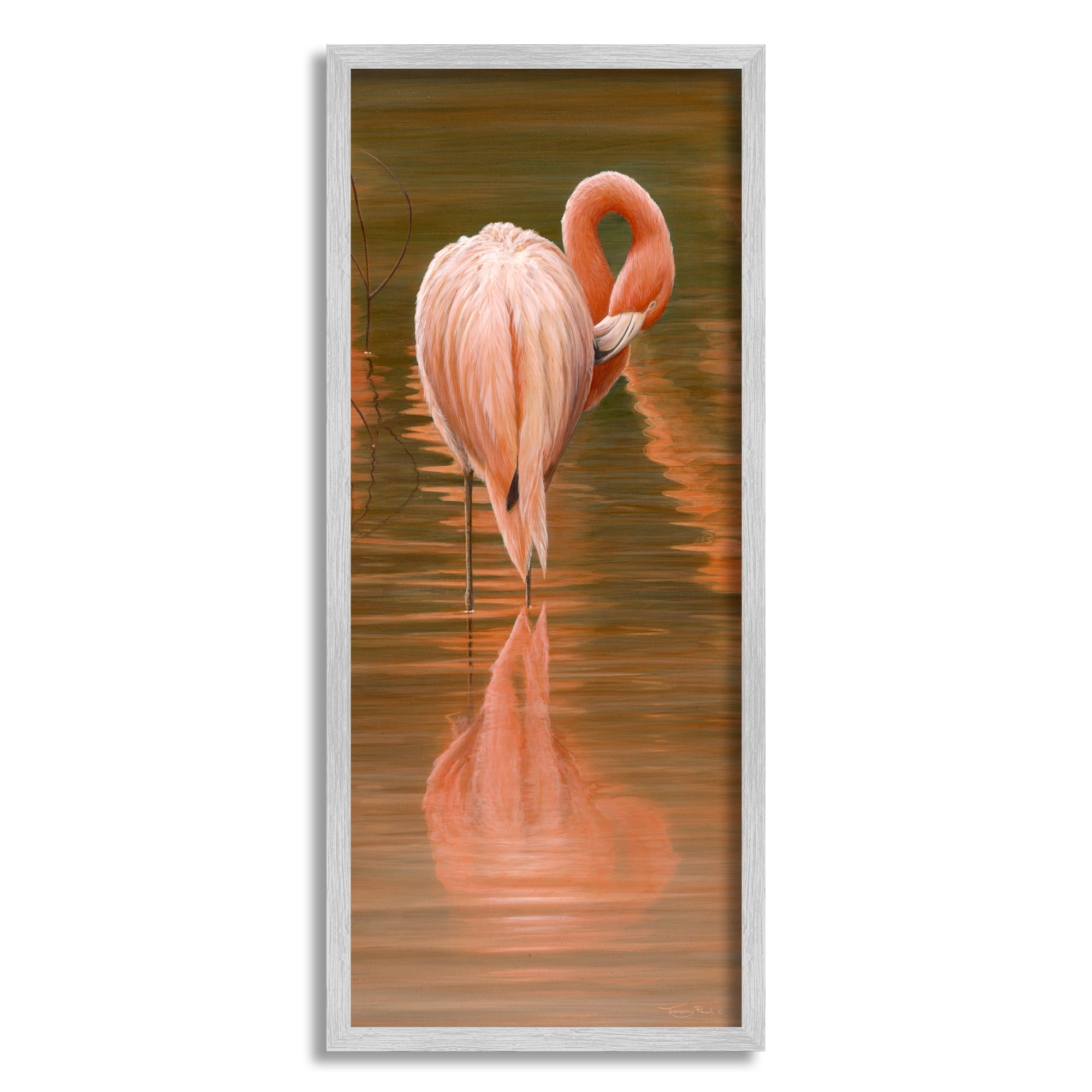 Gray Framed Flamingo Preening Water Reflection Canvas Print