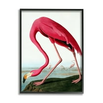 Stupell Industries Flamingo Stepping Near Pond Animals & Insects Painting Black Framed Art Print Wall Art, 11 x 14
