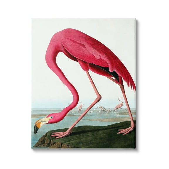 Stupell Industries Flamingo Stepping Near Pond Animals & Insects Painting Gallery Wrapped Canvas Print Wall Art, 16 x 20