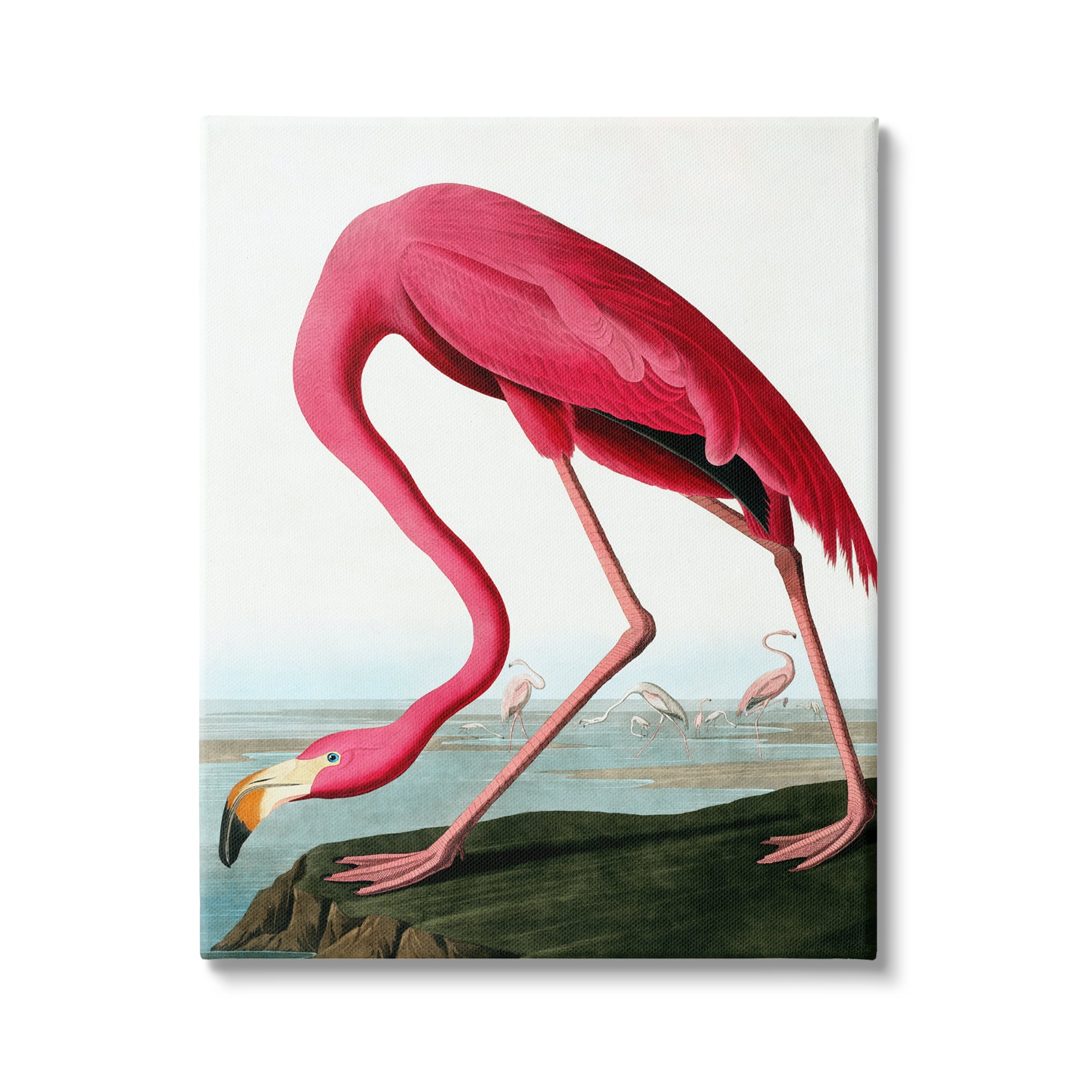 Stupell Industries Flamingo Stepping Near Pond Animals & Insects Painting Gallery Wrapped Canvas Print Wall Art, 30 x 40