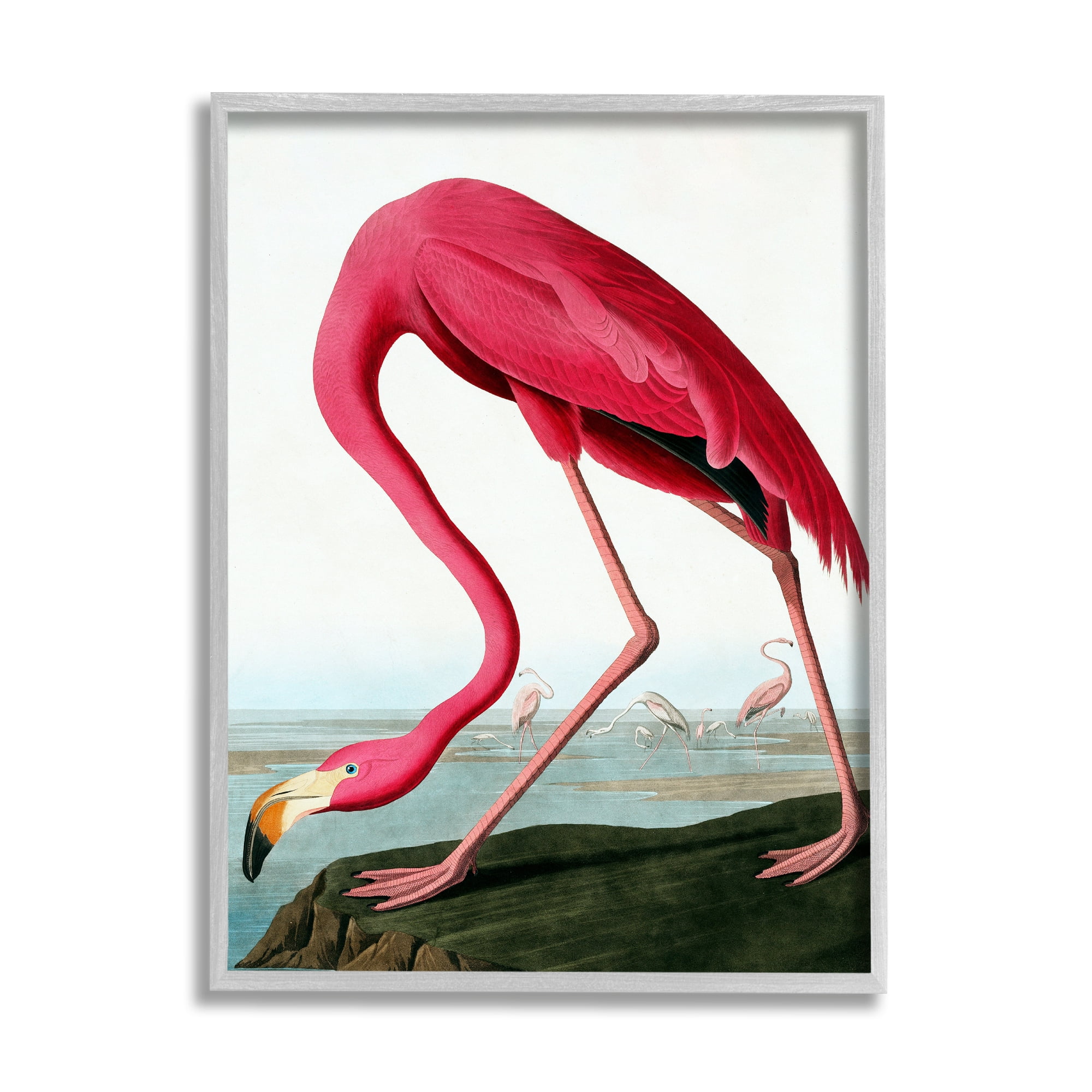 Stupell Industries Flamingo Stepping Near Pond Animals & Insects Painting Gray Framed Art Print Wall Art, 11 x 14