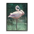 thumbnail image 1 of Stupell Industries Flamingo Tropical Jungle Pond Animals & Insects Painting Black Framed Art Print Wall Art, 1 of 5