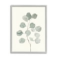 thumbnail image 1 of Stupell Industries Flattened Sage Botanical Stem Delicate Leaf Plant Botanical & Floral Painting Gray Framed Art Print Wall Art, 24 x 30, 1 of 7