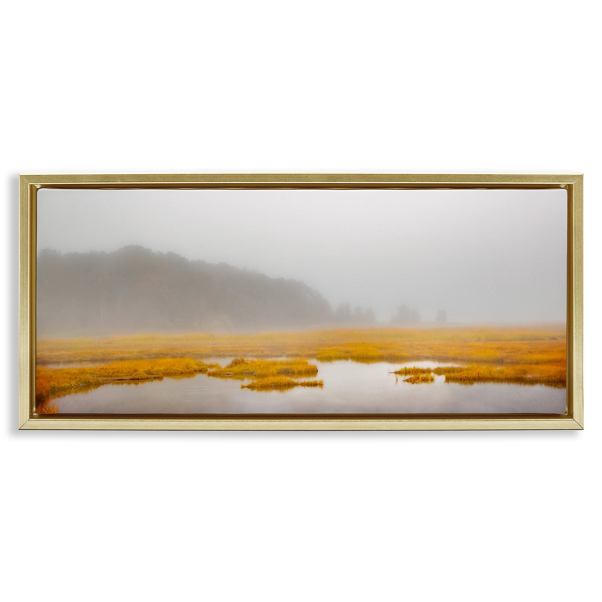 Stupell Industries Flooded Marshland Landscape Landscape Photography Gold Floater Framed Canvas Art Print Wall Art, 31 x 14