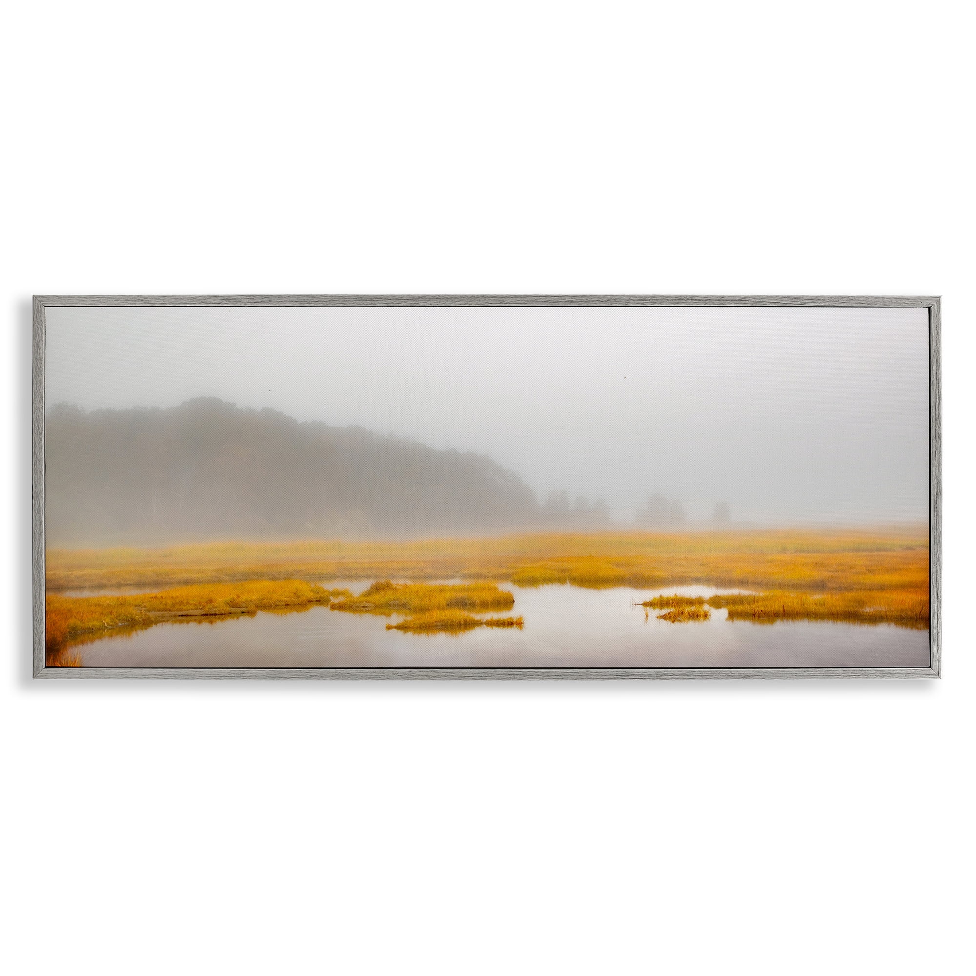Stupell Industries Flooded Marshland Landscape Landscape Photography Gray Framed Art Print Wall Art, 24 x 10