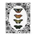 thumbnail image 1 of Stupell Industries Traditional Floral Border Butterfly Lineup Canvas Art, 30 x 40, by Dan Meneely, 1 of 8