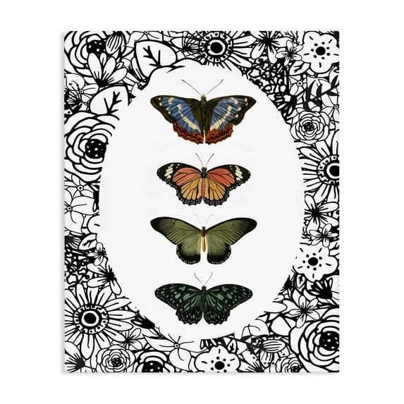 Stupell Industries Traditional Floral Border Butterfly Lineup Canvas Art, 30 x 40, by Dan Meneely