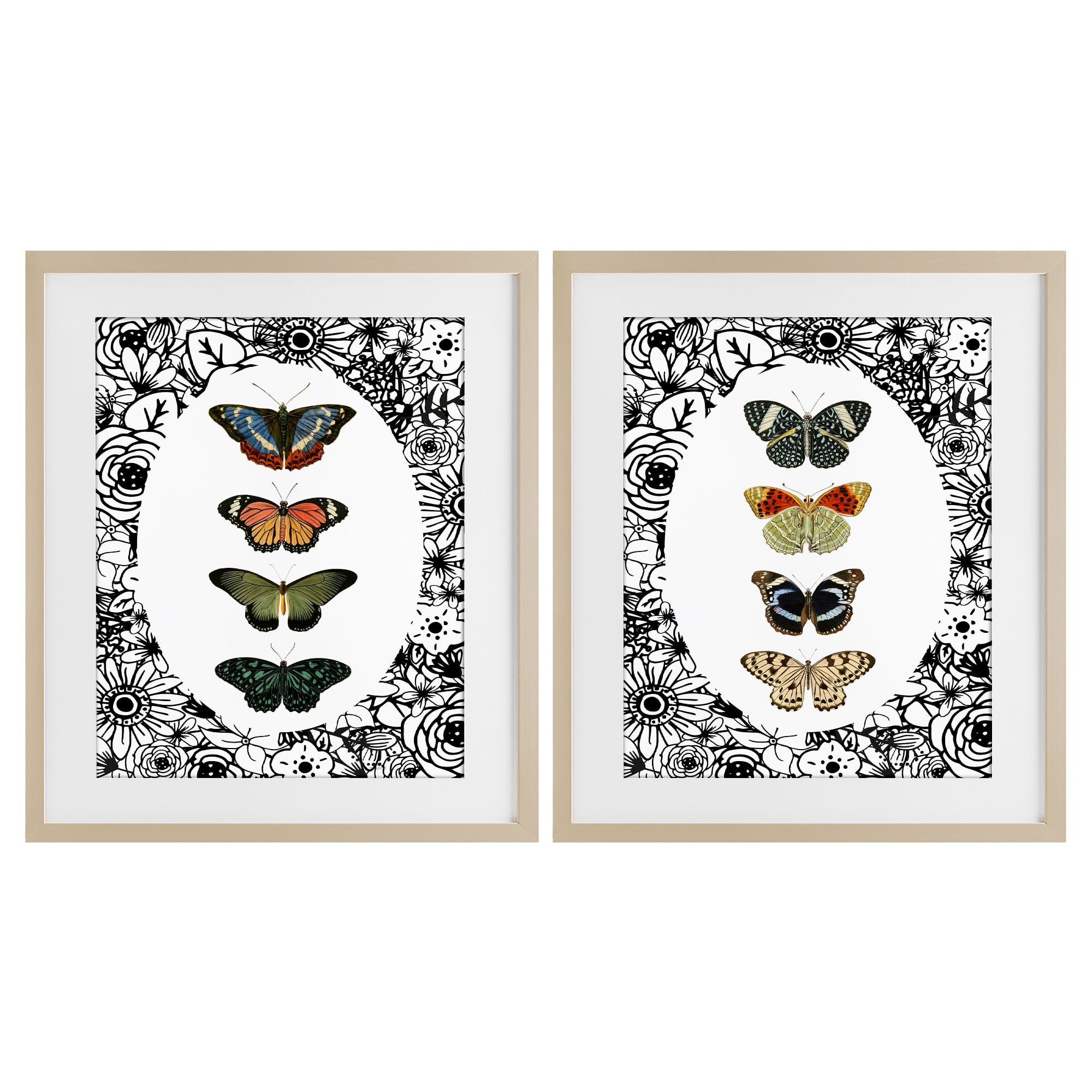 Stupell Industries Floral Butterflies Lineup 2 Piece Birch Framed Print Under Glass Set, design by Dan Meneely