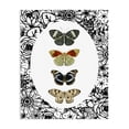 thumbnail image 1 of Stupell Industries Traditional Floral Butterfly Lineup Canvas Art, 24 x 30, by Dan Meneely, 1 of 8