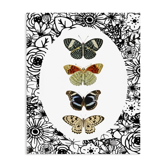 Stupell Industries Traditional Floral Butterfly Lineup Canvas Art, 24 x 30, by Dan Meneely